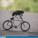  , -, 36  -  24  2010   