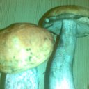 ���� ����, �����-���������, 55 ��� - ��������� 15 �������� 2010 � ������ ���� ����� 2010�