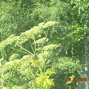 ���� ���������, �����������, 77 ��� - ��������� 27 ����� 2010 � ������ ���� ������� ���������.�