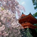 ���� Svetlana, ������, 59 ��� - ��������� 31 ����� 2011 � ������ ���� �������� �������