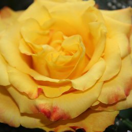 ���� ����, ����, 39 ��� - ��������� 17 �������� 2012