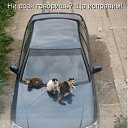 ���� Aleksandr, ��������, 47 ��� - ��������� 25 ������� 2013 � ������ ���� ����������