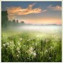 ���� �����, ����-���, 30 ��� - ��������� 10 ��� 2009 � ������ �������