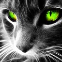 ���� Volf, ������, 42 ���� - ��������� 26 ������ 2013 � ������ ���