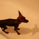 ���� �������, ������, 41 ��� - ��������� 20 ������ 2011 � ������ �������