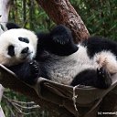 ���� ���, �������, 45 ��� - ��������� 27 ������� 2010 � ������ ���