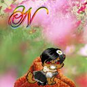 ���� ������-������� ��� ���� �����, ��������, 85 ��� - ��������� 13 ���� 2010 � ������ ������