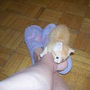 ���� �����-�� �������...�-�������...��-���� �������������... �� ������� ���� �������� � ������ �����...�