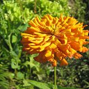 ���� ���������, ���������� - ��������� 5 ������� 2010 � ������ ���������� �����Ȼ