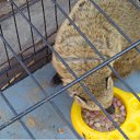 ���� �������, ������������ - ��������� 5 ���� 2010 � ������ �������