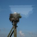 ���� �����, ������, 53 ���� - ��������� 21 ������� 2012 � ������ �������