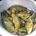 ���� ����������, ������, 58 ��� - ��������� 14 ������ 2013 � ������ ���� �����