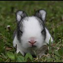 ���� ����� - ���������� ��������!!!, �����������, 56 ��� - ��������� 17 ������� 2010 � ������ �� ����� �������� � ... �� ������