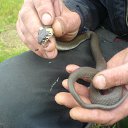 ���� ����, �����, 50 ��� - ��������� 9 �������� 2011