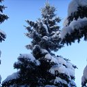 ���� Alex, �����-���������, 54 ���� - ��������� 9 ������ 2012 � ������ �������� ��� ���������...�