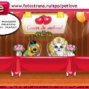 ���� �, ������, 40 ��� - ��������� 7 ������� 2011 � ������ �PetLove�