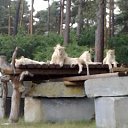 ���� Valeri, ��������, 52 ���� - ��������� 20 ������ 2011