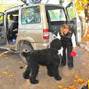 ������������ ������)) �� ������� ���� ����������