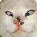 ���� �����, ����, 49 ��� - ��������� 24 ������� 2010