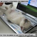 ���� ���������, ����, 44 ���� - ��������� 16 ��� 2013 � ������ ���� ����������