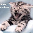 ���� ���������, ���������, 47 ��� - ��������� 29 ���� 2010 � ������ �������