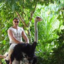 ���� ����, ����������, 43 ���� - ��������� 10 ���� 2013 � ������ �������� 2013�