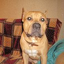 ���� �����, �����-��������� - ��������� 17 ������ 2013 � ������ ���� ����������