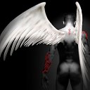 ���� ����, �����, 48 ��� - ��������� 22 ������� 2012 � ������ ���� ����������