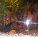 ������������� ��� ���� 25 �� ������� ���� ��������