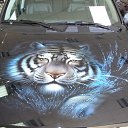 ���� ������, �����������, 28 ��� - ��������� 18 �������� 2012