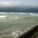 ���� ���������, ������������, 49 ��� - ��������� 8 ���� 2012 � ������ ���� ����������