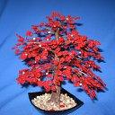 ���� ����, �����������, 63 ���� - ��������� 18 ������ 2010 � ������ ���� ���������