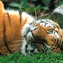 ���� ������, ������, 41 ��� - ��������� 24 ���� 2011 � ������ �������