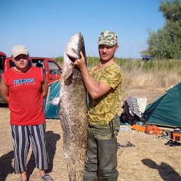 Alex, ������, 51 ���