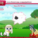  Marina, -, 23  -  26  2011   PetLove