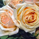 ���� �������, �����-���������, 54 ���� - ��������� 6 ������� 2012 � ������ ������� �������