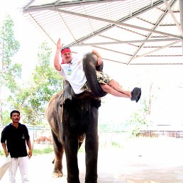 ���� �������, �����, 51 ��� - ��������� 22 ���� 2011