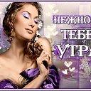 ���� ���, ������ - ��������� 5 ������ 2013 � ������ ���� ����������