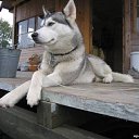 ���� "@����", �����-���������, 25 ��� - ��������� 6 ������� 2010 � ������ ��@��� �@��� �@��Ȼ