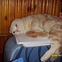  ,  , 33  -  27  2009    