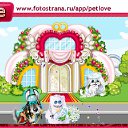  , , 46  -  29  2010   PetLove