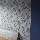 ���� �������, ������, 43 ���� - ��������� 19 ������ 2012 � ������ �������