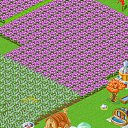 ���� ����, ����������� ����, 37 ��� - ��������� 17 ������ 2013 � ������ ������� �������