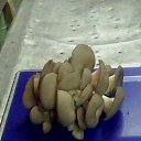 ���� �������, ����������, 51 ��� - ��������� 3 ������� 2011 � ������ ���� ����������