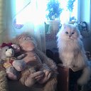 ���� �����, �������� - ��������� 15 ������� 2012 � ������ ���� ����������