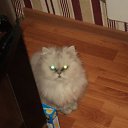 ���� �������, ������, 35 ��� - ��������� 10 ����� 2012 � ������ ���� ����������