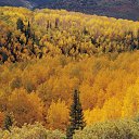 ���� �������, ��������, 57 ��� - ��������� 1 ��� 2010 � ������ ������� ��������