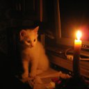 ���� �, �����-���������, 50 ��� - ��������� 9 �������� 2010 � ������ ���������