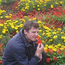 ���� ����, ������, 34 ���� - ��������� 10 �������� 2012 � ������ ���� ����������