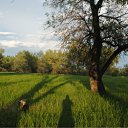 ���� ������, ������, 63 ���� - ��������� 6 ���� 2011 � ������ ��������. �����